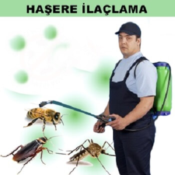 Kaynaşlı Böcek İlaçlama